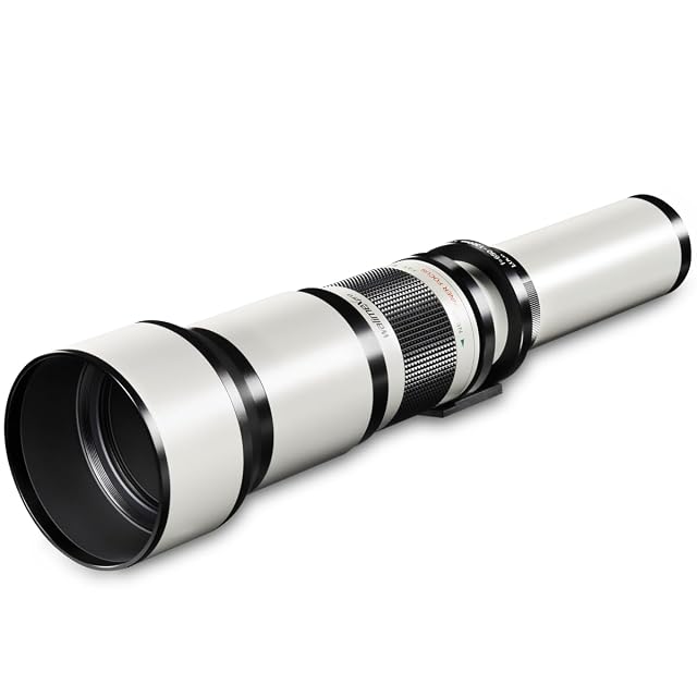 Objectif Walimex pro 650-1300mm, long fût métallique noir, son pare-soleil déployé